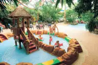 kinderen spelen in het Kids Junglebad